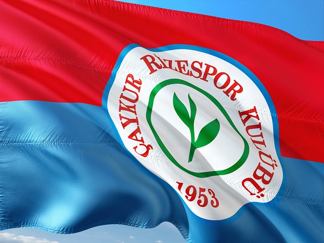 了新的明星 了新的明星