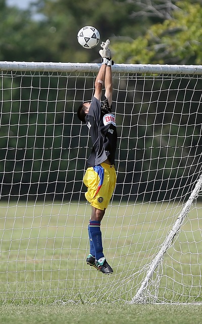 深圳队需要 深圳队需要