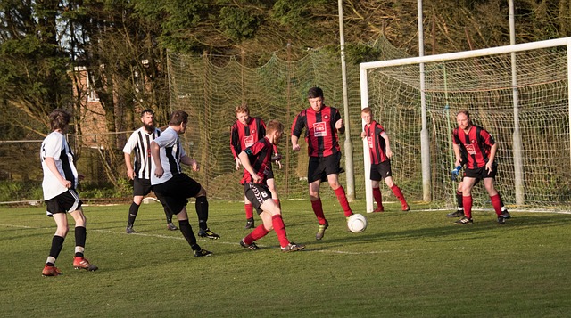 視的一環 視的一環