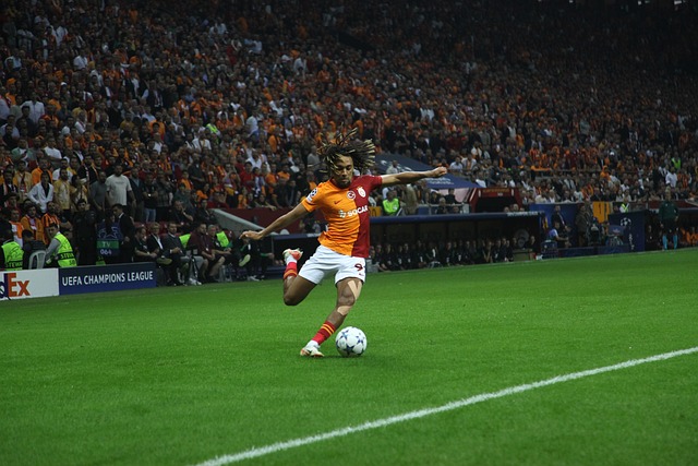 织能力和投 织能力和投