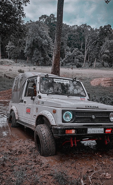 这样的缺阵 这样的缺阵