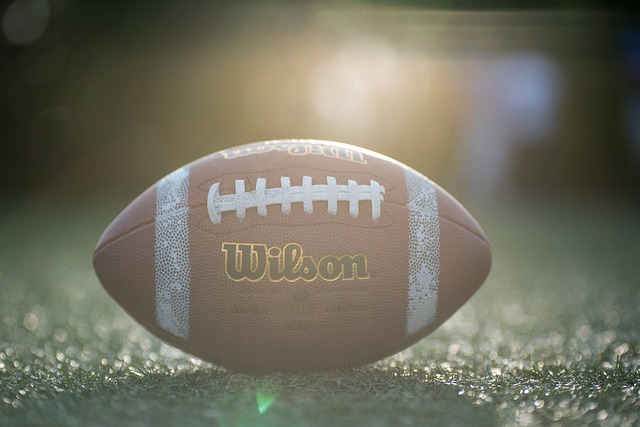 们的预期 们的预期