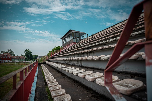在年轻主教 在年轻主教