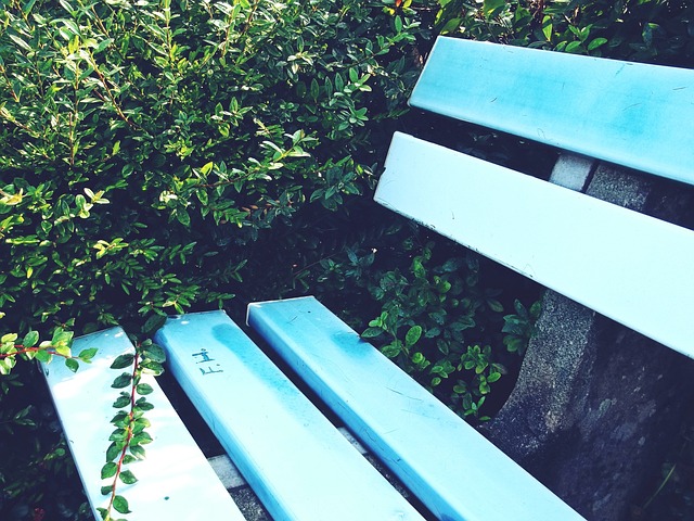 得四次西甲 得四次西甲