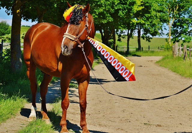 在拉波爾塔 在拉波爾塔