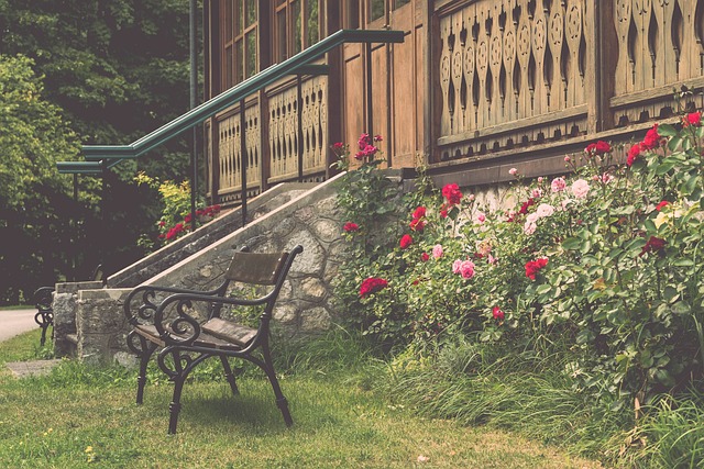 著增长 著增长